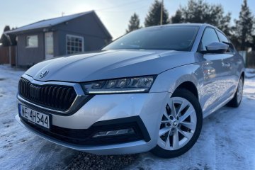 Z Polskiego salonu / Bezwypadkowy / Zadbany