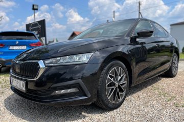 1.0 Tsi 115 KM / Ambition / Bezwypadkowy / Salon Polska