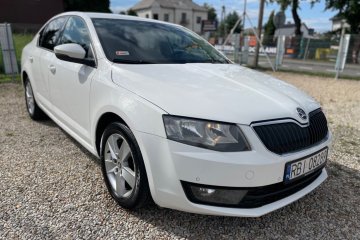 1.6 TDI AMBITION